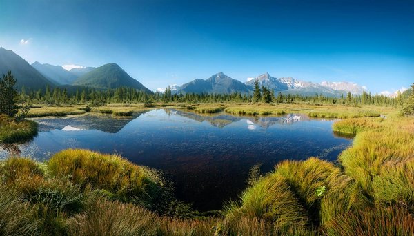 Discover Norfolk's Hidden Coastal Gems: Ideal Seaside Towns for Unforgettable Family Getaways
